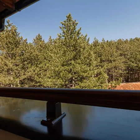 Apartamento & Djuric Zlatibor