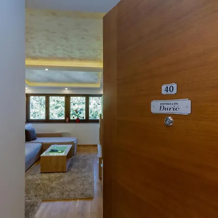 Apartament & Djuric Zlatibor