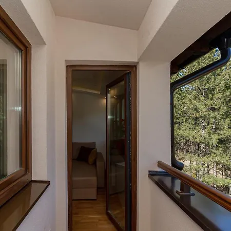 Apartamento & Djuric Zlatibor