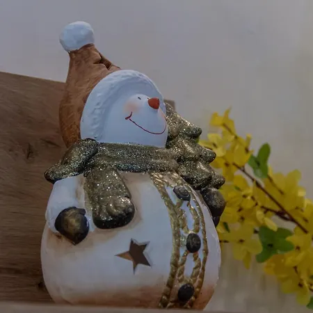 & Djuric Apartament Zlatibor