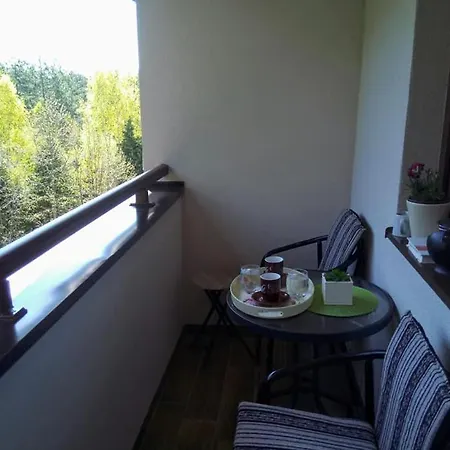 & Djuric Apartamento Zlatibor